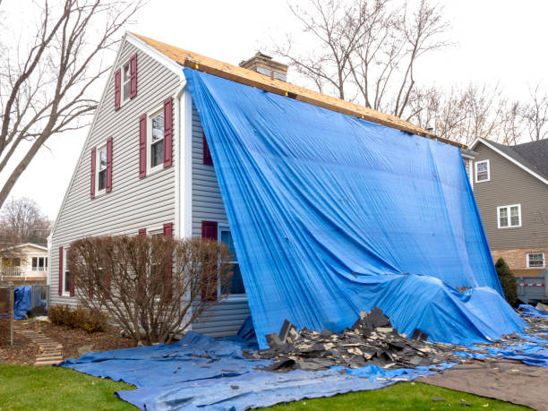 Best Shed Removal  in Sachse, TX